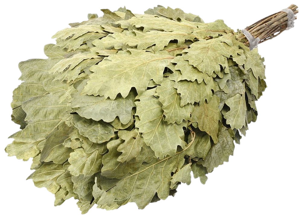 ВЕНИКИ КАНАДСКИЙ БАНННЫЕ ШТУЧКИ ДУБ БОГАТЫРЬ 25