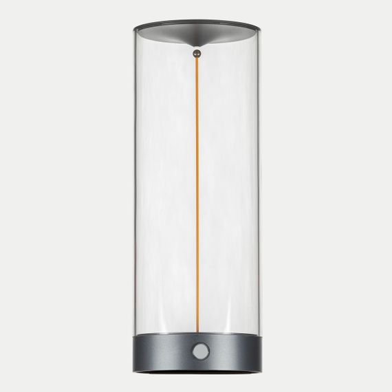 Настольная лампа Citilux Streng CL811011