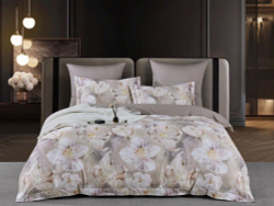 Постельное белье с одеялом 1.5 спальное Asabella Premium 2109-OSPS