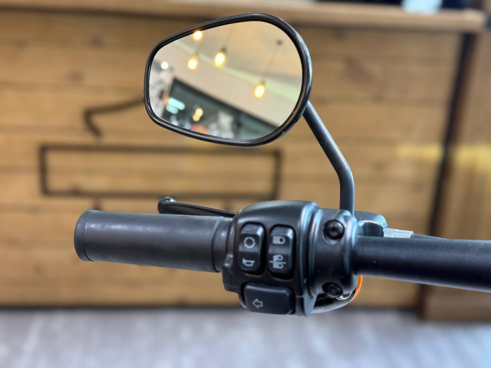 Harley-Davidson Fat Bob 114 (2021мг)