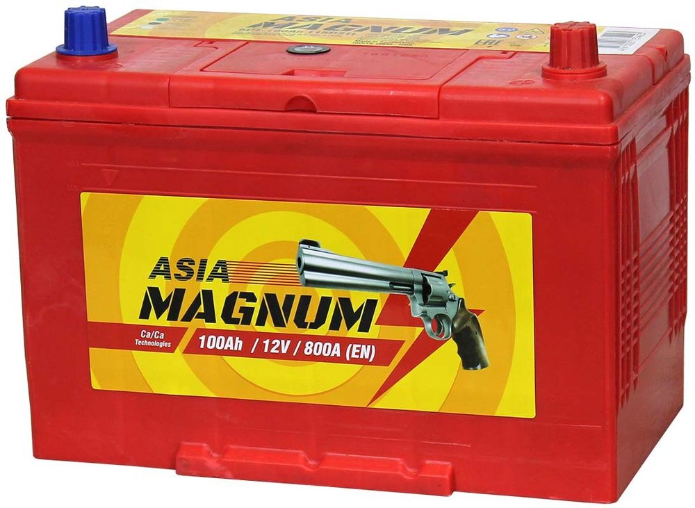 Magnum Asia 6СТ- 100 аккумулятор