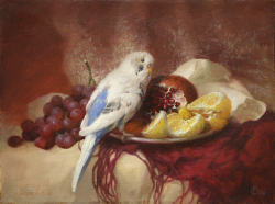 Волнушка на красном