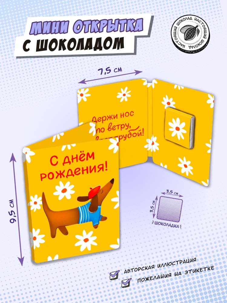 Мини открытка, НОС ПО ВЕТРУ, молочный шоколад, 5 гр., TM Chokocat