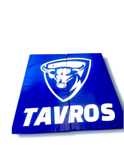 Протектор стеновой защитный с нанесением логотипа - 2х1х0.04м