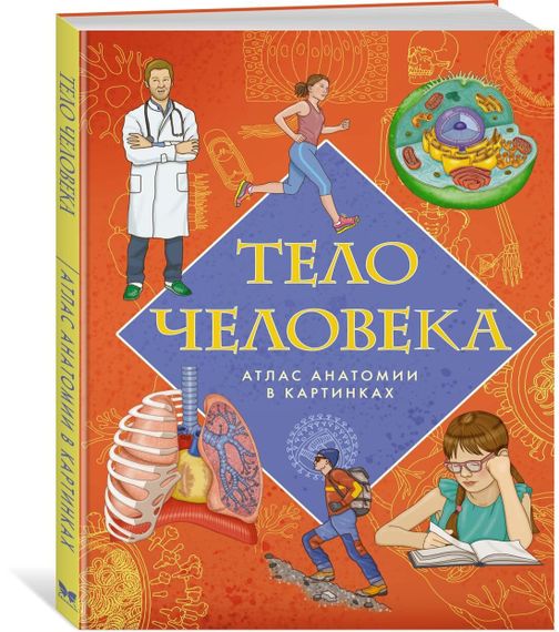 Тело человека. Атлас анатомии в картинках