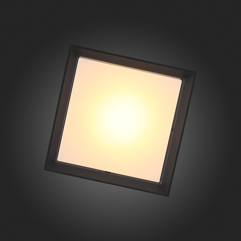 SL077.402.01 Светильник уличный потолочный ST-Luce Черный/Белый LED 1*12W 3000K CUBISTA