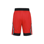 Шорты Jordan Jumpman Diamond Jumpman Diamond, DH9497-687