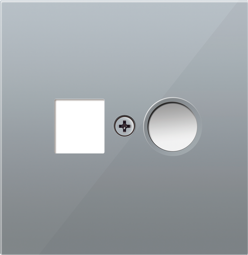 Накладка для розеток RJ45+SAT, 2-я, алюминий, серия R98