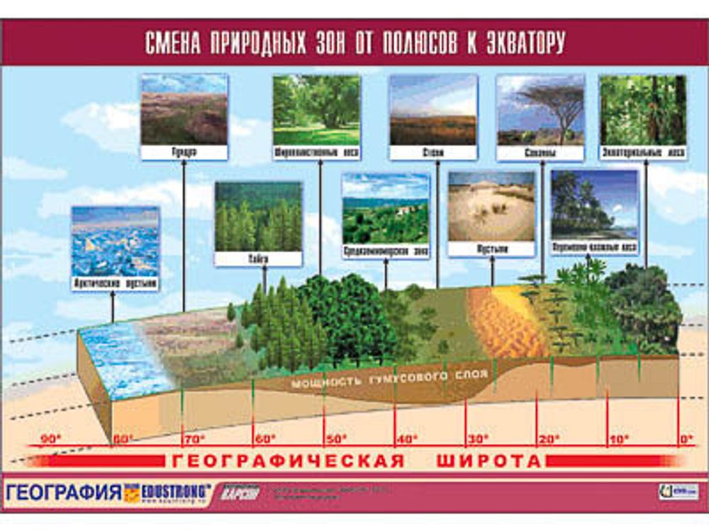 Таблица демонстрационная &quot;Смена природных зон от полюсов к экватору&quot; (винил 100x140)