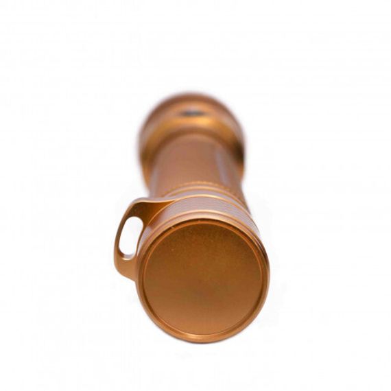 Фонарь DELFiN T25 2500 lm холодный свет