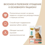 МНЯМС Лакомство "Здоровье и красота" хрустящие подушечки для кошек с лососем, 60 г