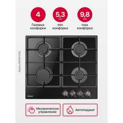 Газовая панель Hansa BHKS610502