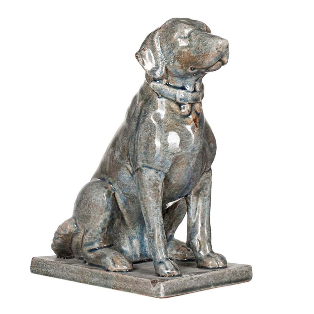 Собака декоративная Evergreen Нидерланды