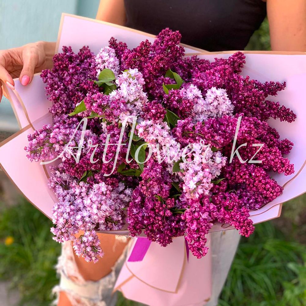 Лиловое облако