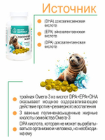 Тюлений жир