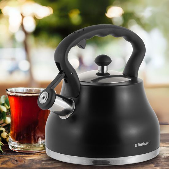 Чайник 2,7 л. из нержавеющей стали со свистком Ofenbach NB 100313BL