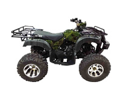 Квадроцикл WELS (Велс) Thunder 200