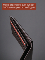 DKB1109R Castanho - Портмоне Dakar с RFID защитой