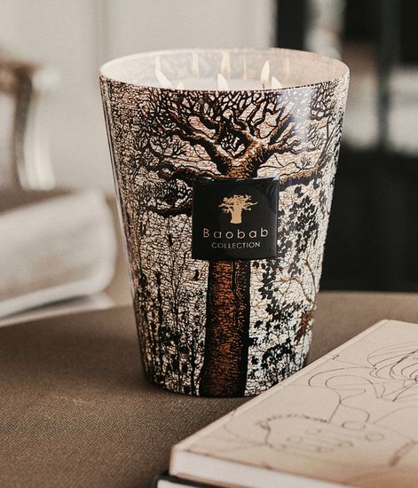 Morondo, свеча MAX 10 Sacred Trees collection, Baobab Collection