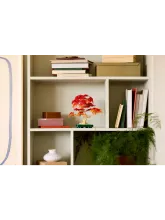 Конструктор Botanical Collection 10348 Японский красный клен