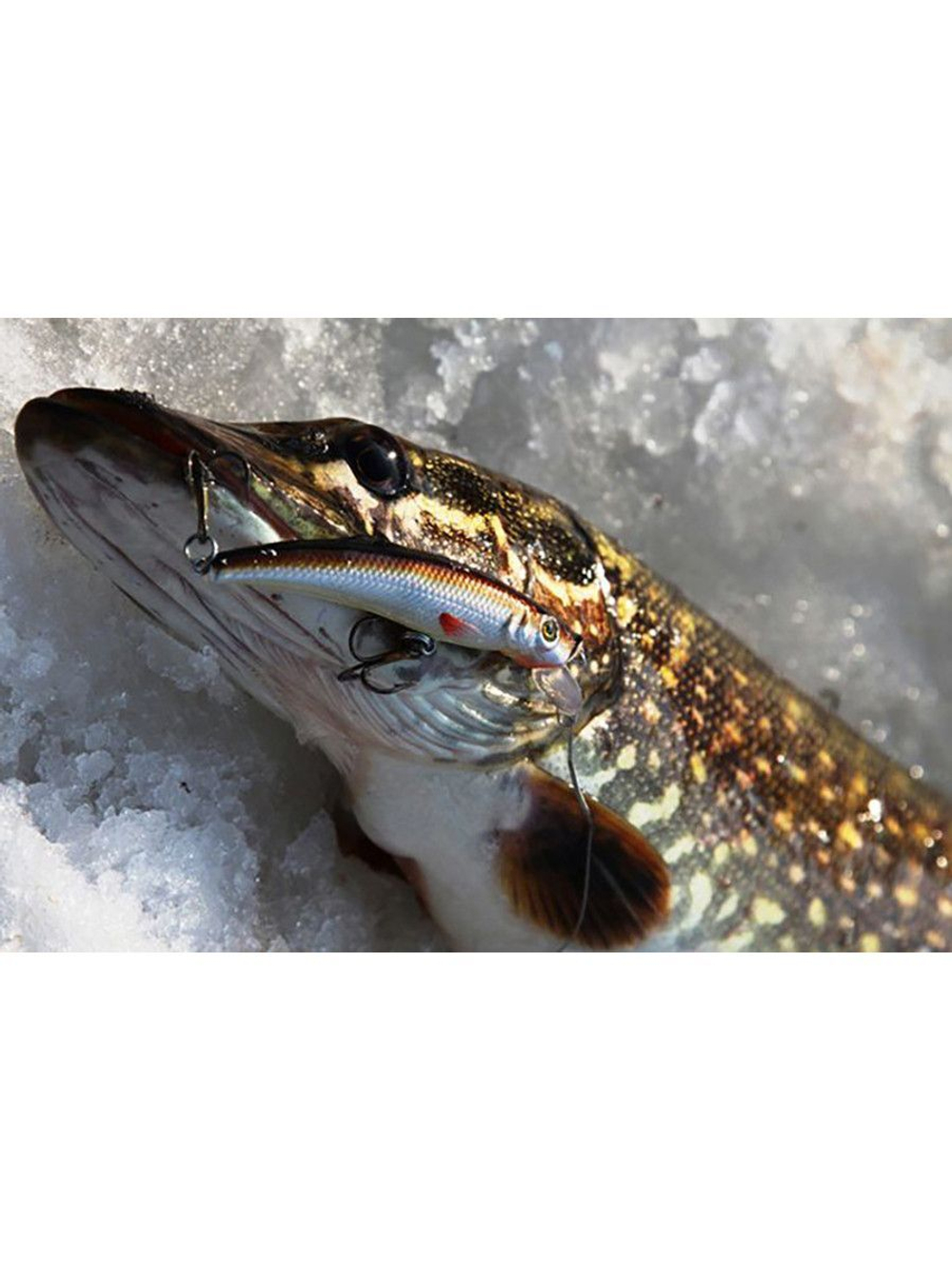 Воблер Минноу MACHNO 90mm, цвет 018 (карась), 2 штуки