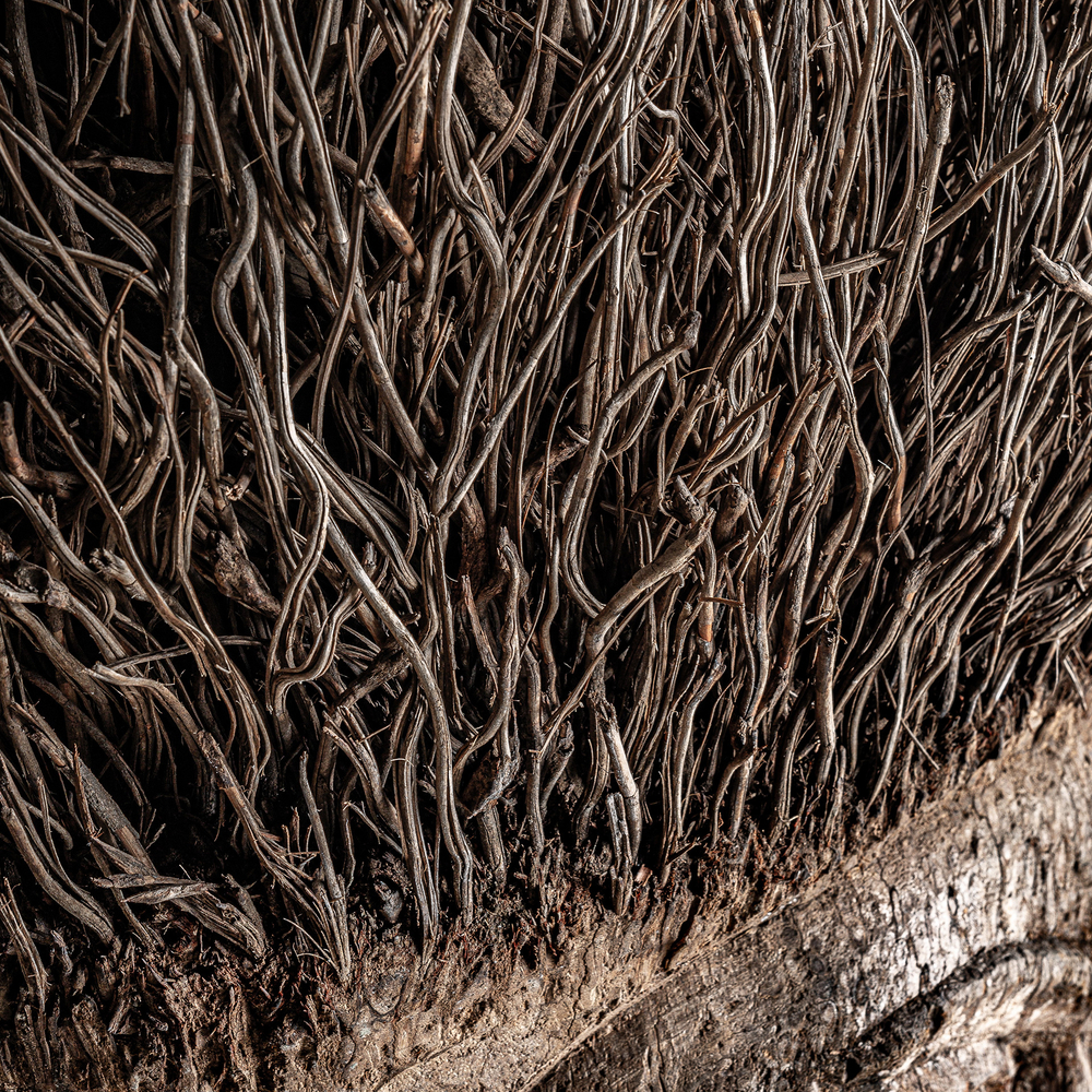 Фигура декоративная Epi