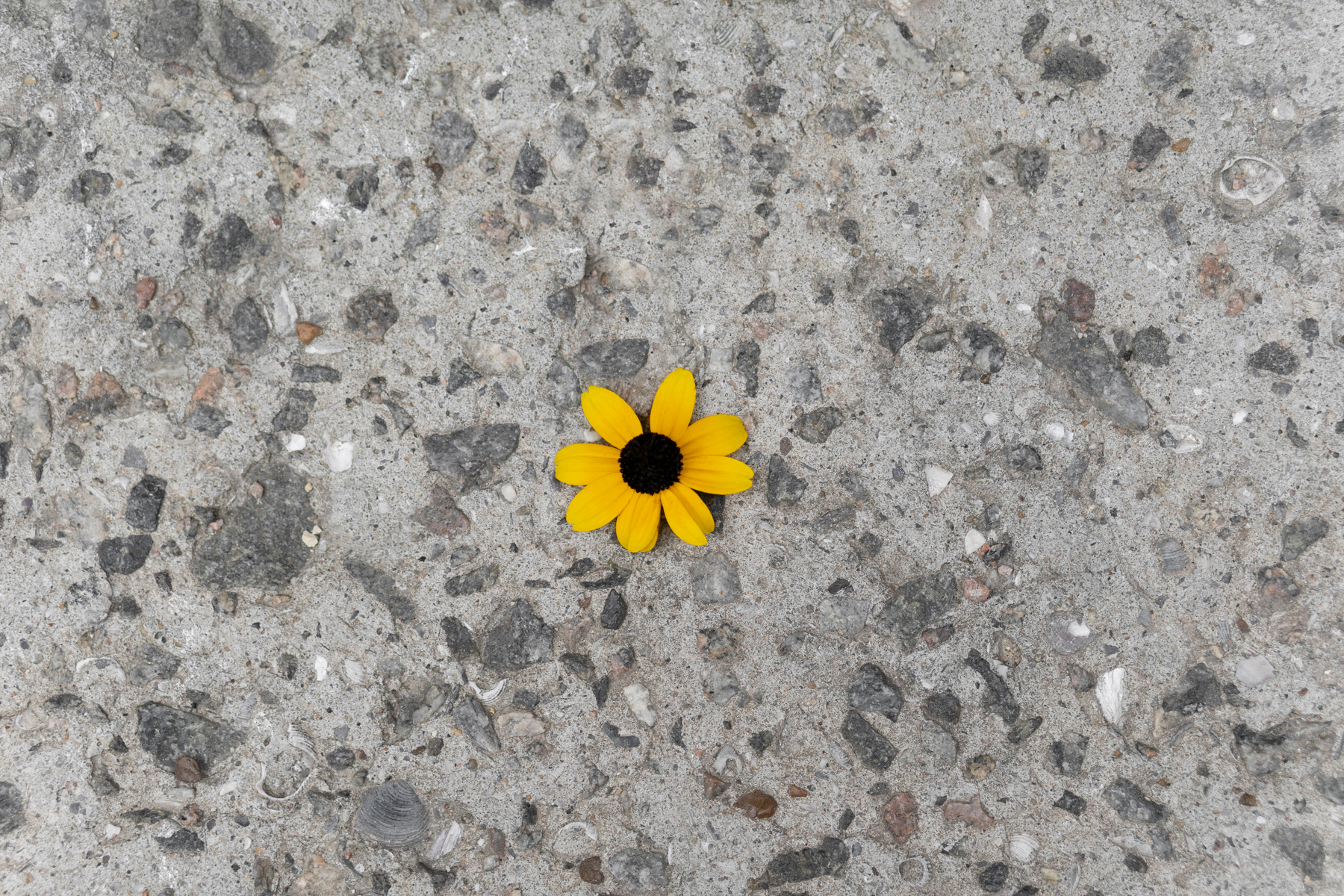 Весенняя ревизия тротуарной плитки: что проверить после схода снега