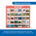 Комплект Патриотическое воспитание с РобоМышью