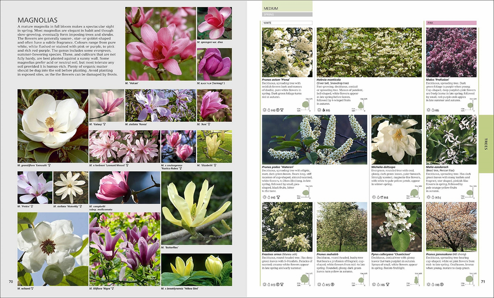 RHS Encyclopedia of plants and flowers