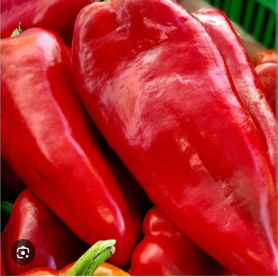 Перей сладкий Каптур F1 - Kaptur F1 - 1000шт