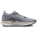 Кроссовки Nike Pegasus Trail 5 Gore-Tex