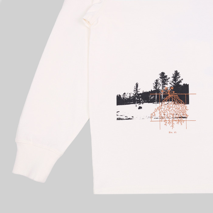 Лонгслив мужской Dickies Kenbridge Tee артикул:DK0A4YVRC581 - купить в магазине Дайс