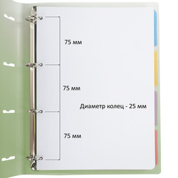 Тетрадь на кольцах БОЛЬШАЯ 305х235мм А4, 120л, пластик, с разделителями, BRAUBERG, Зеленый, 404625