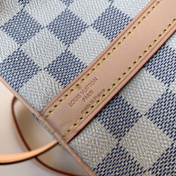Louis Vuitton Speedy 25