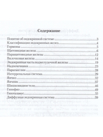 Функциональная анатомия эндокринной системы. Учебное пособие. 3-е изд.