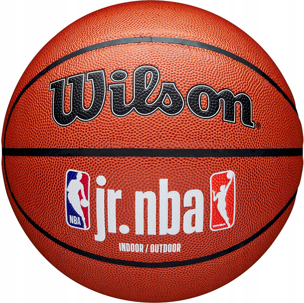 Мяч баскетбольный Wilson JR. NBA Fam Logo Indoor Outdoor WZ2009801XB6, размер 6