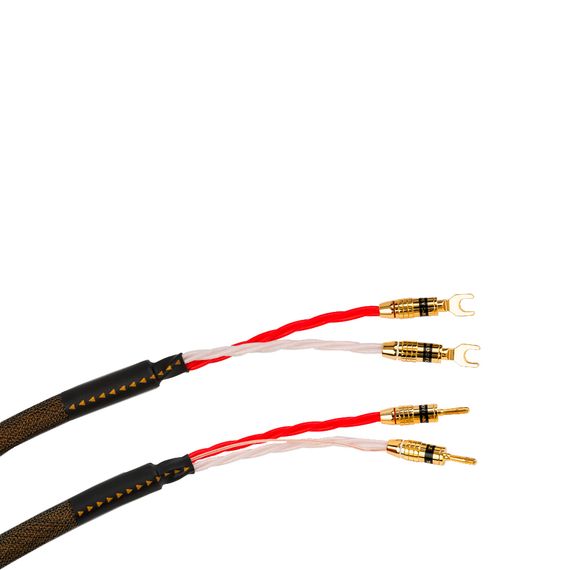 Tchernov Cable Reference DSC SC Sp/Bn 1.65 m