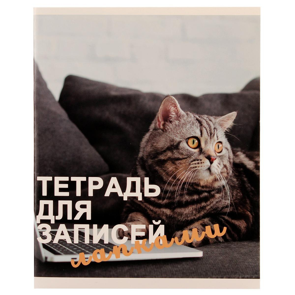 Тетрадь А5 48л. клетка "Для записей лапками" в ассорт. (Эксмо)
