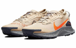 Кроссовки Nike Zoom Pegasus Trail 3 Gtx