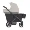 Детская коляска-вагончик Wagon Anex Modu Shea