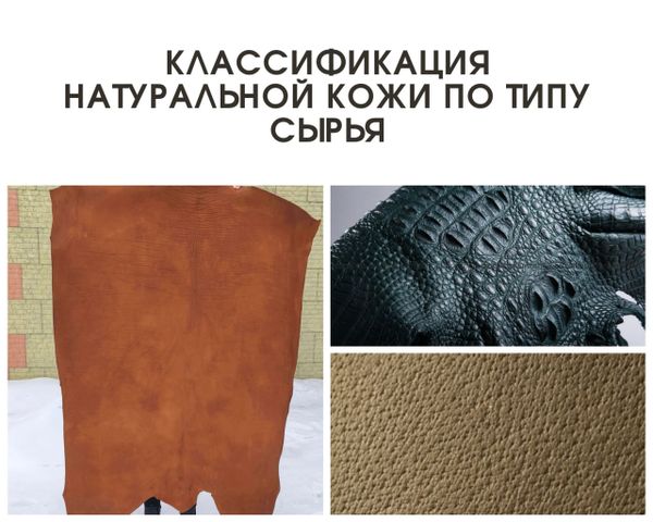 Классификация натуральной кожи по типу сырья