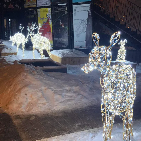 Световой Олененок