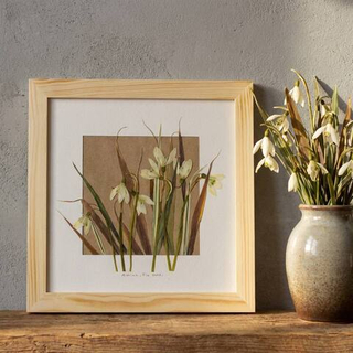 Подснежники, травка. Картина из цветов в рамке