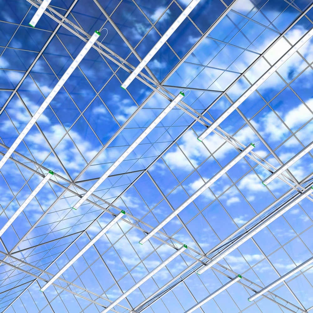 Светильник АгроСвет Сonstant 250вт 554мкмоль (полный спектр) FS-V-AGRO-250-65-XY-305-ZZZ