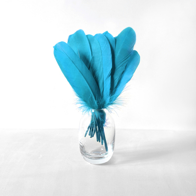 Гусиные перья голубые ровные 20шт.