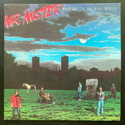 Виниловая пластинка Mr. Mister ‎– Welcome To The Real World LP