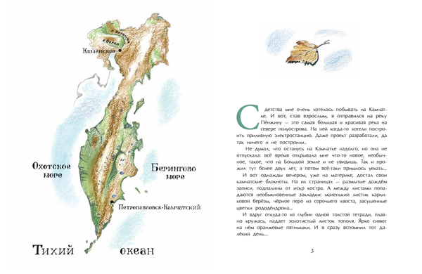 Заяц в море. Рассказы о Северной Камчатке