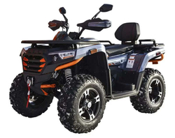 Квадроцикл MOTOLAND ATV 300 Max X