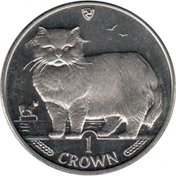 Персидская кошка