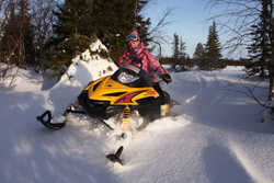 Снегоход РУССКАЯ МЕХАНИКА Tiksy 250 Люкс